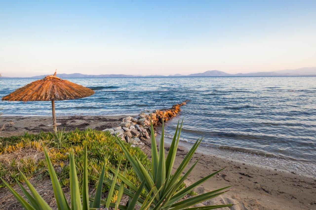 Elite Cottages Káto Lekhónia Екстериор снимка