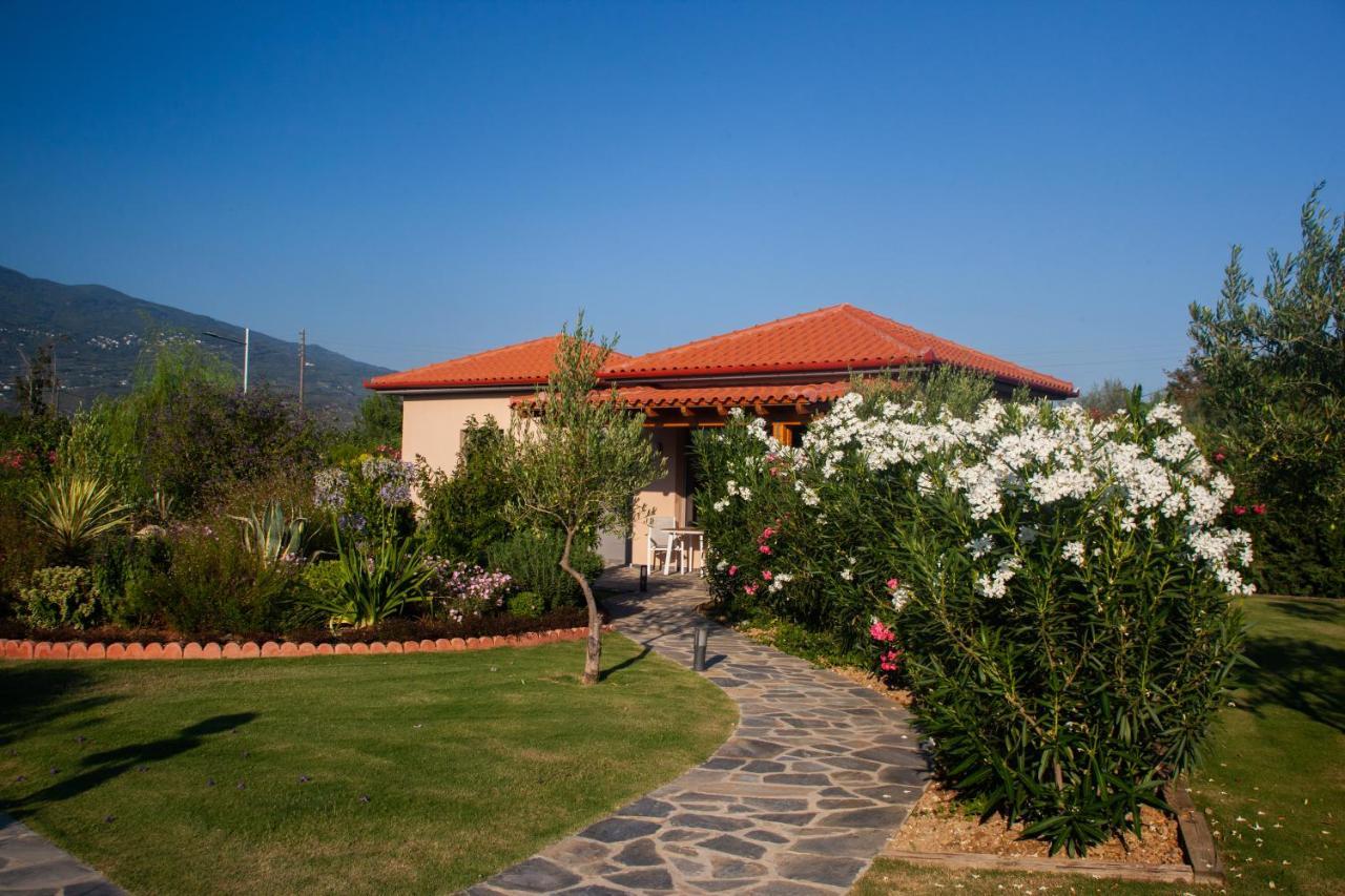 Elite Cottages Káto Lekhónia Екстериор снимка